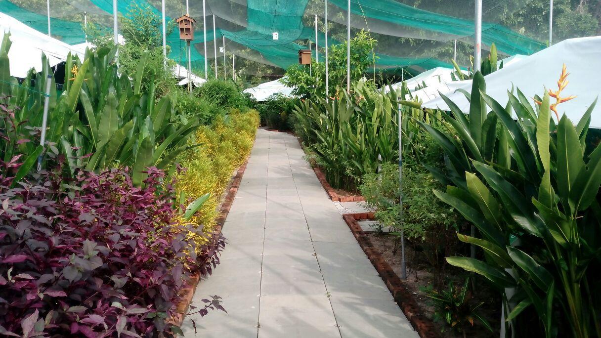 T Garden Βίλα Pantai Cenang  Εξωτερικό φωτογραφία