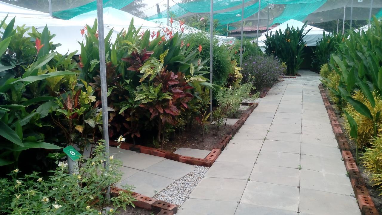 T Garden Βίλα Pantai Cenang  Εξωτερικό φωτογραφία