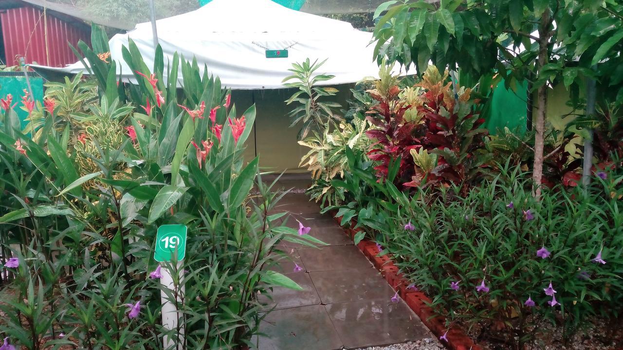 T Garden Βίλα Pantai Cenang  Εξωτερικό φωτογραφία