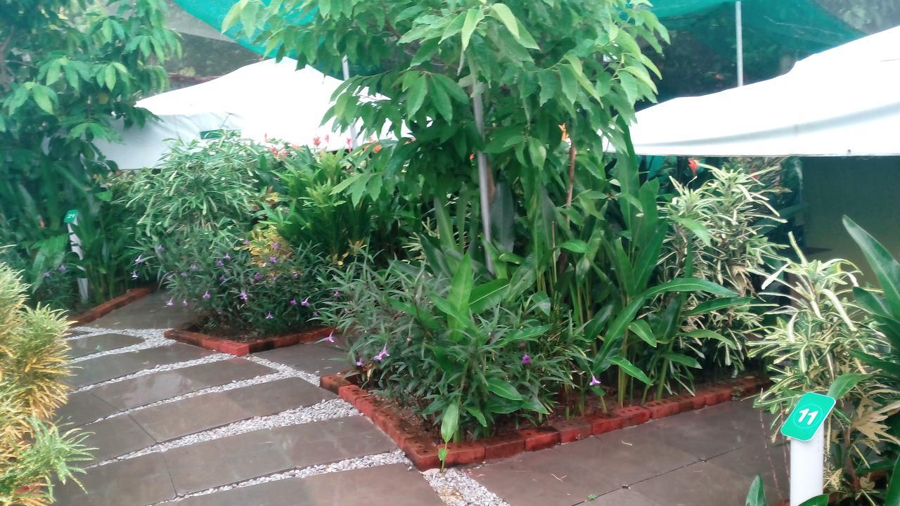 T Garden Βίλα Pantai Cenang  Εξωτερικό φωτογραφία